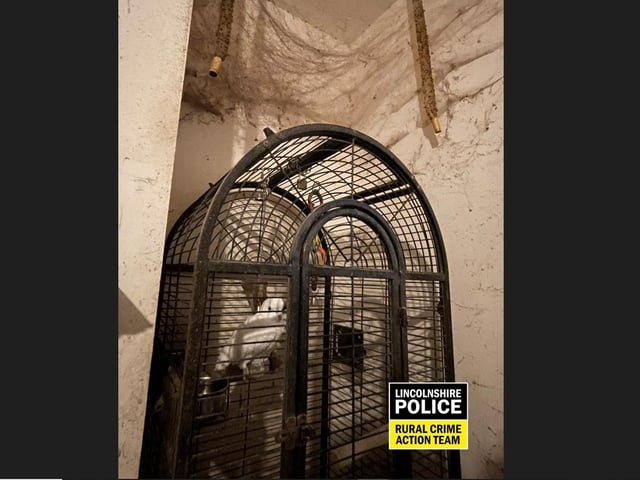55 animals were found inside the house.