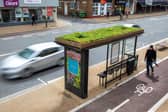 An example of how the bee bus stops look. Photo: Bauer Media Outdoor.
