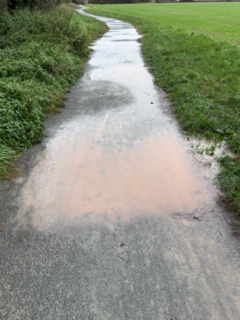 Call for new action to tackle flooded Peterborough footpath that leaves school children wet and muddy