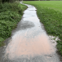 Call for new action to tackle flooded Peterborough footpath that leaves school children wet and muddy