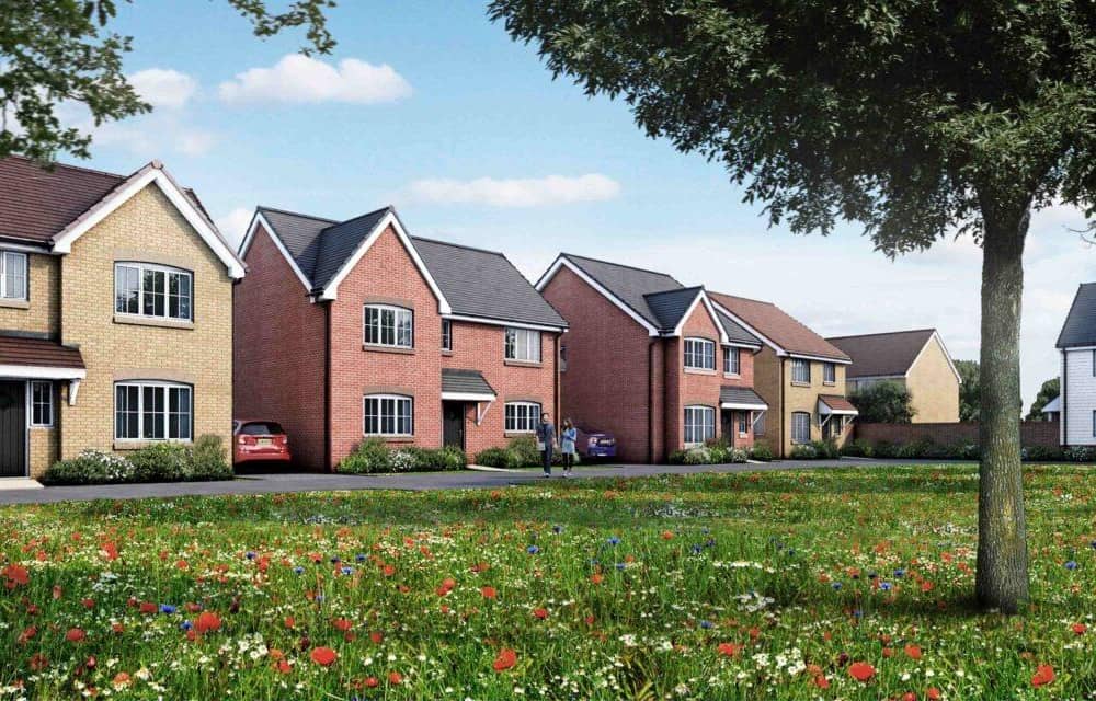 Bellway Eastern Counties Elder Brook development