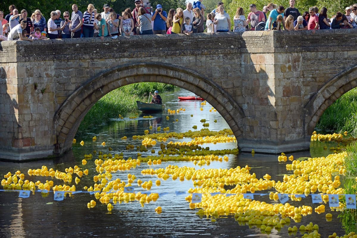 Duck Racieng Love-a-duck: Deepings annual duck race returns for a day of fun ...