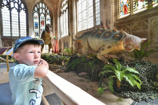 Teddie Taylor looking at the dinosaurs.