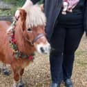 Harry the therapy pony will support patients and families at the hospice