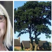 Green Party leader councillor Nicola Day has asked why Bretton Oak tree needs to be felled - and if other options are available.