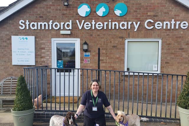 Jane and her walking buddies at her place of work