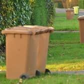 Plans to charge people for lost or stolen bins could be scrapped