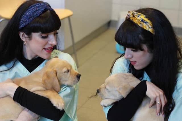Classical Reflection meeting guide dog puppies in 2019 at the charity's National Centre.