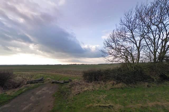 The meadow in Ailsworth.