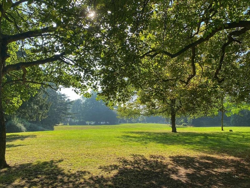 Central Park received 11 noise complaints in total - all of which were down to loud music.