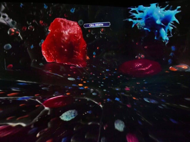 This 3D reproduction of a microscopic image at the XRP eXtended Reality Peterborough shows the behaviour of cells in the body