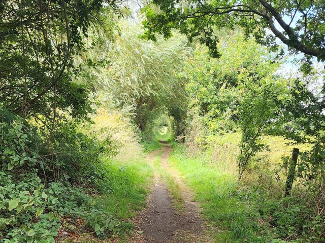 Kimberley Lewis' enticing shot has us all feeling like we want explore what's up that track...