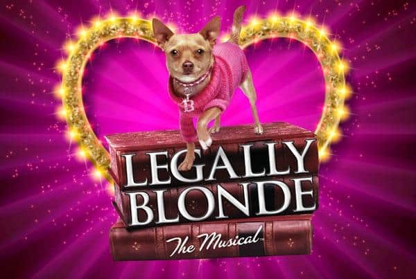 Legally Blonde: The Musical, performed by Stamford Showstoppers