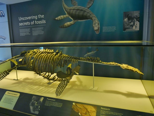 If your child has an inquiring mind and thirst for knowledge then Peterborough Museum is the place to be. From Jurassic fossils, to Roman artefacts, to bone art made by French Napoleonic War prisoners - there will be plenty of exciting things to see and learn about during your visit. Into spooky stories? Join in on one of the museum’s organised family-friendly ghost walks and and discover a more mysterious side of history.