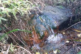 The Sobrite Spring was once a highly venerated - and commercially successful - natural water source in the city.