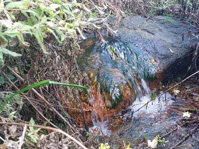 The Sobrite Spring was once a highly venerated - and commercially successful - natural water source in the city.