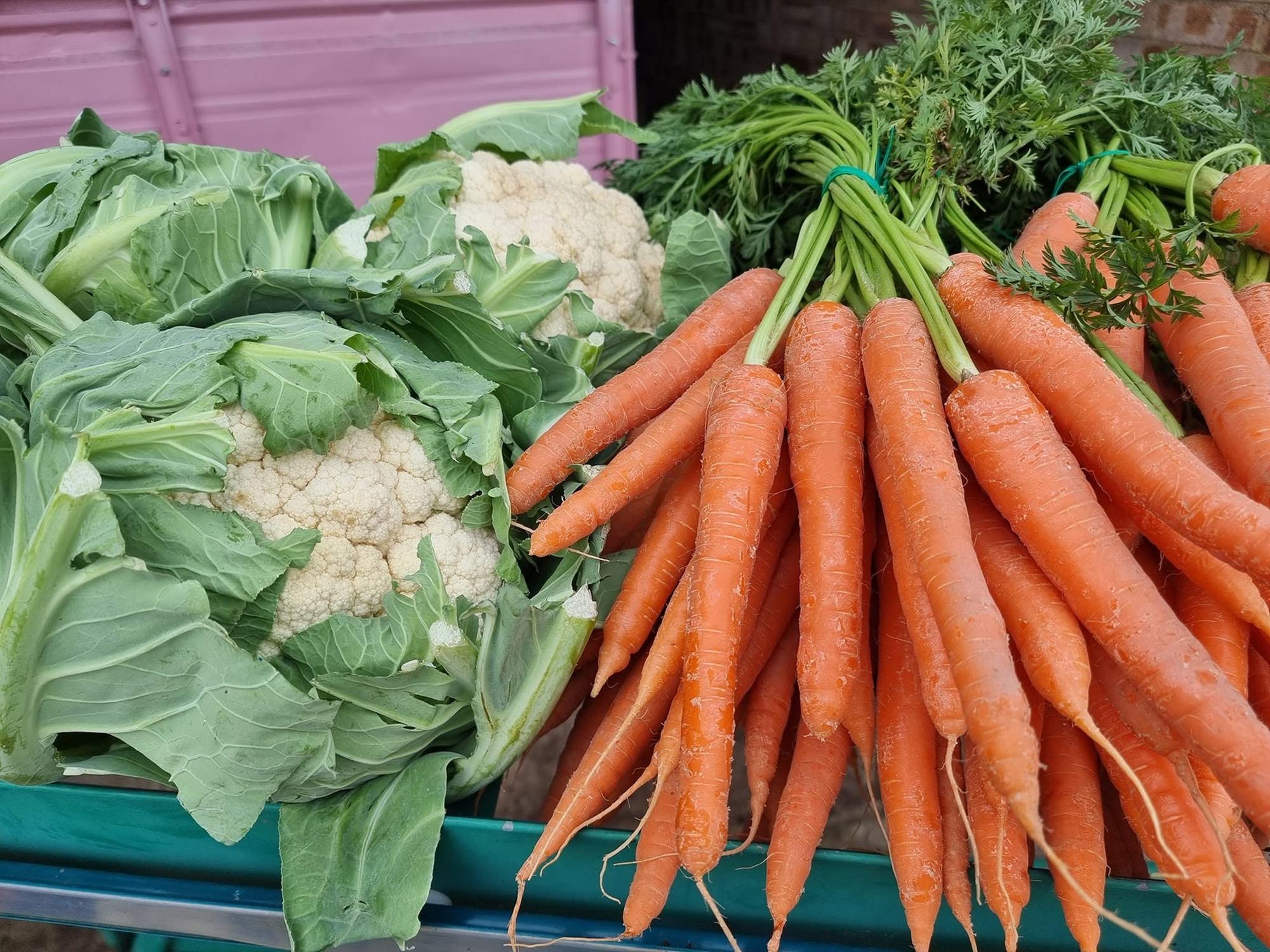 ‘Off the beaten track’ farm shop near Peterborough where you can pick pumpkins and buy ‘top quality’ meat