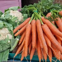 ‘Off the beaten track’ farm shop near Peterborough where you can pick pumpkins and buy ‘top quality’ meat