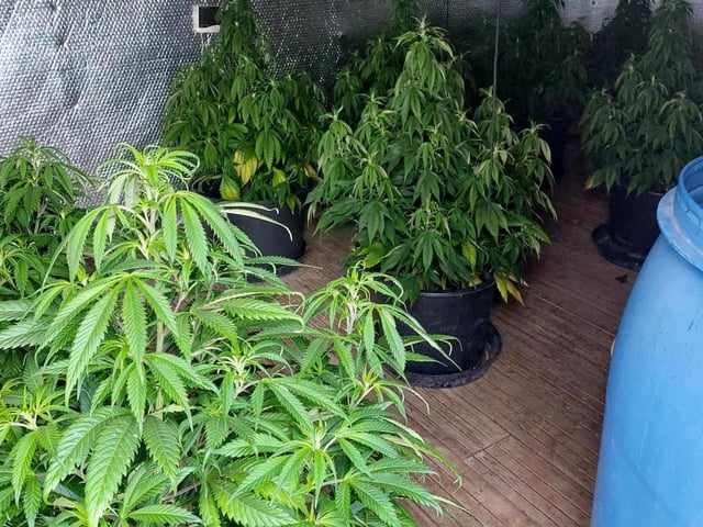 Police said the drugs had a street value of £180,000