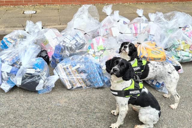 The sniffer dogs with the haul of illegal cigarettes and vape products seized from shops in Bourne and Grantham.