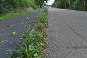 Weeds in the road at Stilton