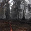 The blaze at Holme Fen