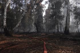 The blaze at Holme Fen