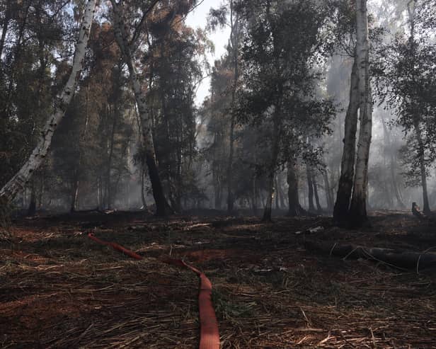The blaze at Holme Fen