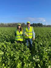 Bethany Auger, Tesco Local Buying Manager, and Adrian Roche, Tesco Technical Manager, amongst the heritage crop.