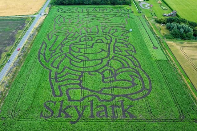 The new maze at Skylark