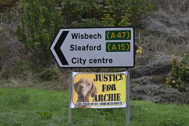 Justice for Archie poster on A47. Photo: David Lowndes.