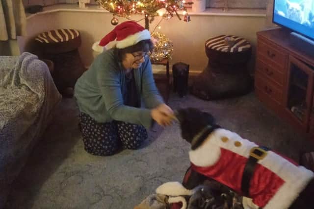 Sue and Oreo all dressed up together as Santa.