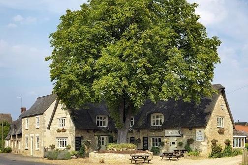 THE CROWN INN, 
Elton
 Served November 30 to December 23.
 Available Wednesday to Saturday for lunch and dinner. Two courses: £25, Three courses: £32.95.