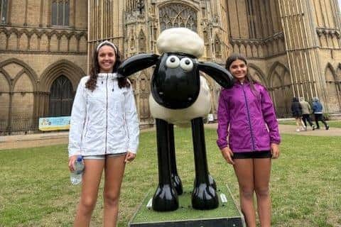 A screening of the Shaun the Sheep movie will be held this weekend in the city centre