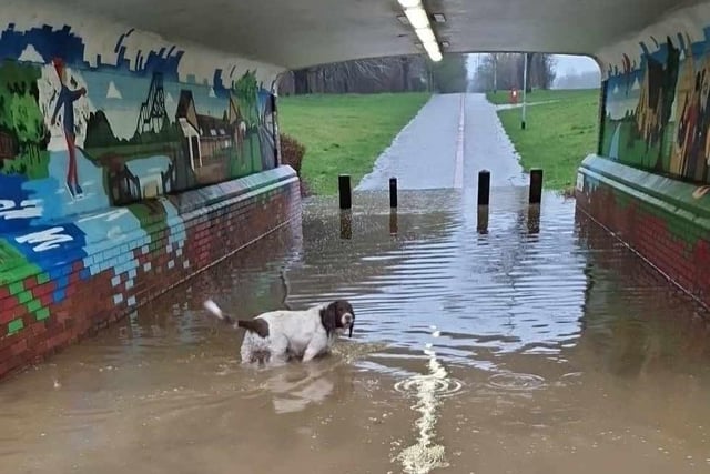 The submerged David's Lane underpass in Werrington. Photo: Leander Leverton.
