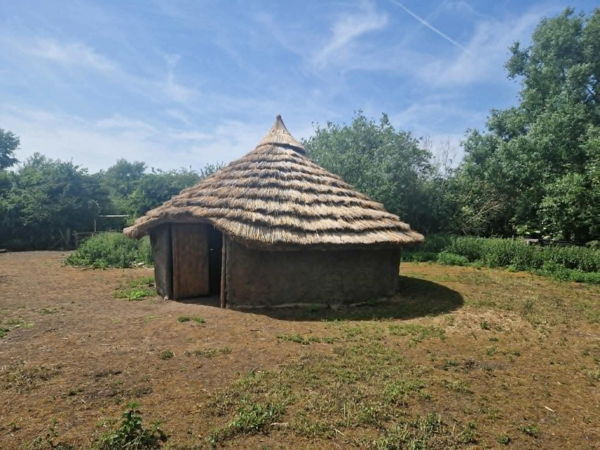 New dig at Peterborough's Flag Fen to start as £700k of funding confirmed