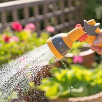 Anglian Water say there is no sign of hosepipe ban ending in Peterborough
