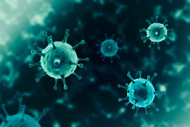 New cases of the Brazilian and South African Covid-19 variants have been in England (Photo: Shutterstock)
