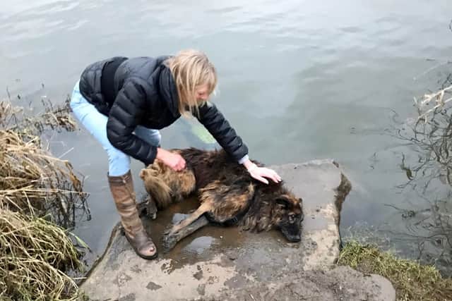 A woman was fined £80 and given a community order after she tied a rock to her dog and left it in a river to drown (Photo: SWNS)