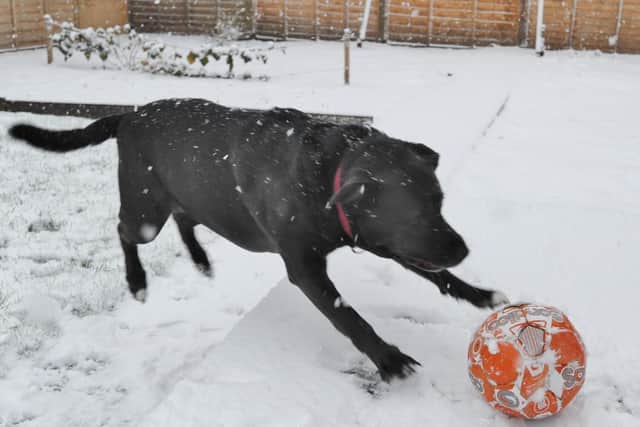 Charlie playing football in the snow on derby day in the Premier League