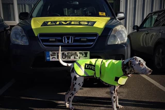 One of LIVES responder dogs, Hugo in CPR training