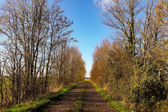 Christine Mitchell sent in this Autumnal scene of Upwood