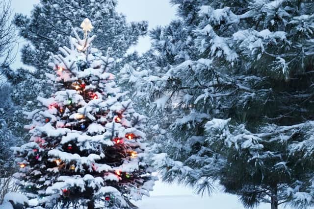 Ever since Dickens penned his famous tales, we've all been dreaming of a white Christmas. Picture: Shutterstock