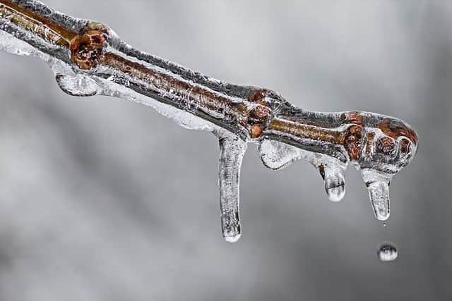 Freezing temperatures are forecast for Peterborough and Cambridgeshire