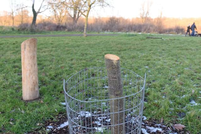 Saw attack to seats, fencing  and trees at Ferry Meadows EMN-171228-185920009