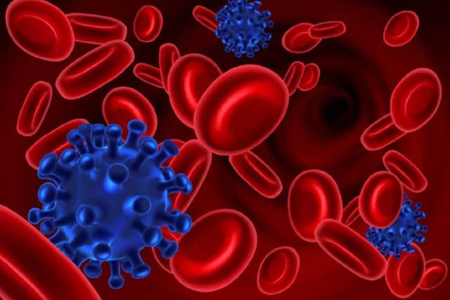 Superbug fuelled by food additive