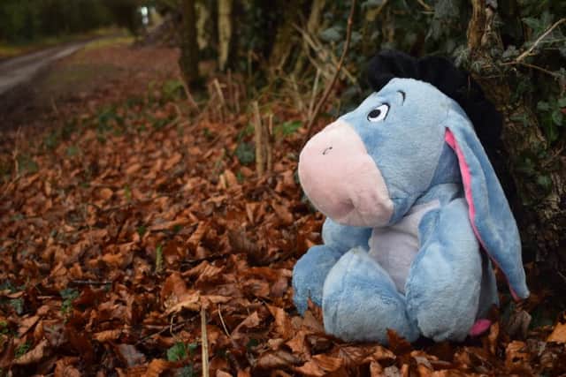 It is Winnie the Pooh weekend at Sacrewell Farm.