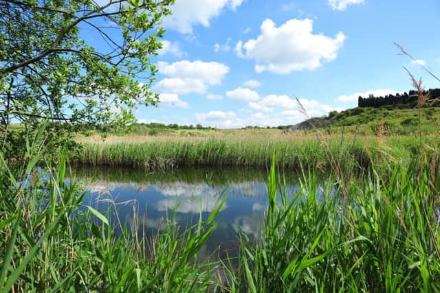 King's Dyke Nature Reserve, Whittlesey ENGEMN00120110712162848