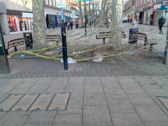 The blown over branch in Bridge Street