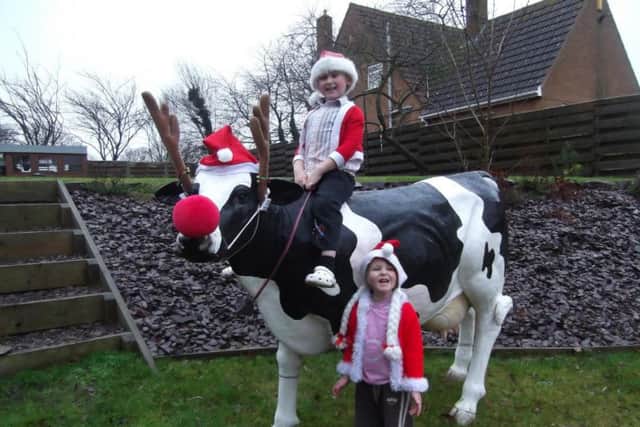 Blossom the cow has been stolen